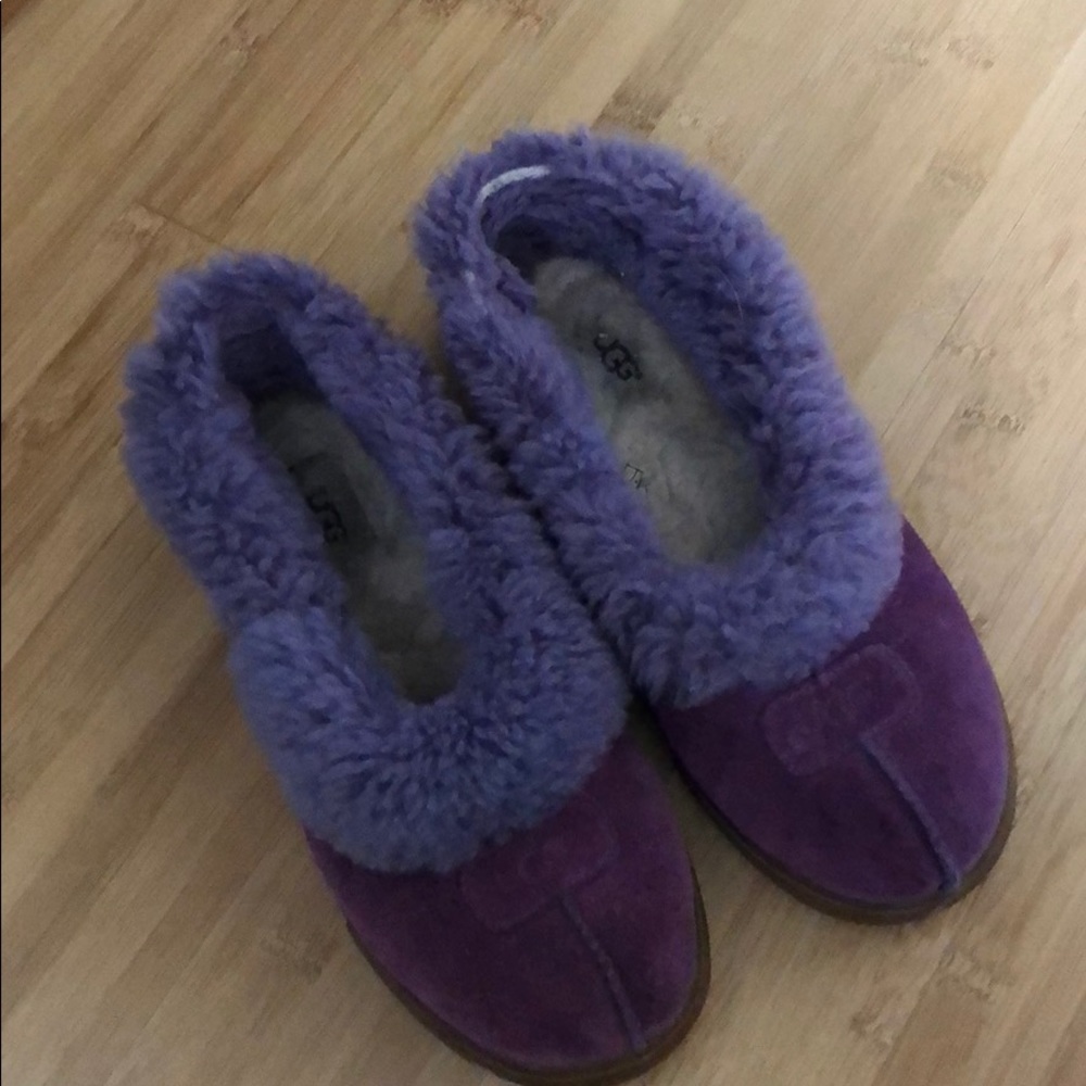 Purple Ugg Slippers